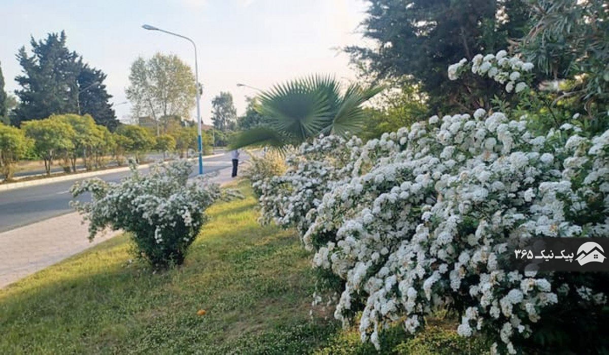 تصویر خیابان 16 دریاکنار