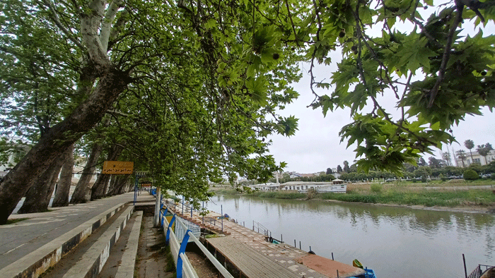 اسکله ساحلی