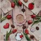 مهمان اقامتگاه